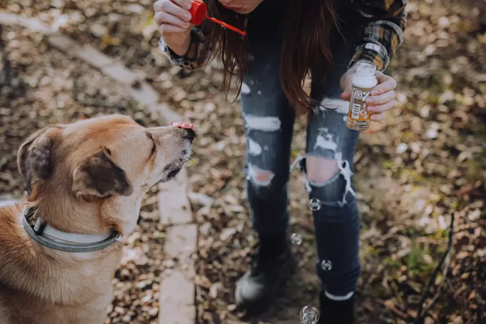 A dog owner closely reading the ingredient panel on a supplement bottle