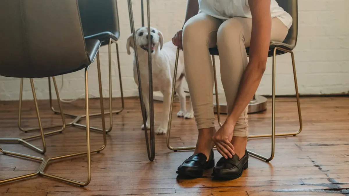 A dog owner examining a probiotic supplement label in a kitchen