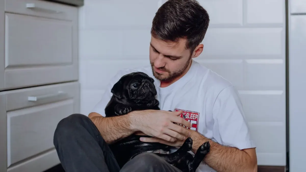 A dog owner reading the ingredient panel on a chew supplement package