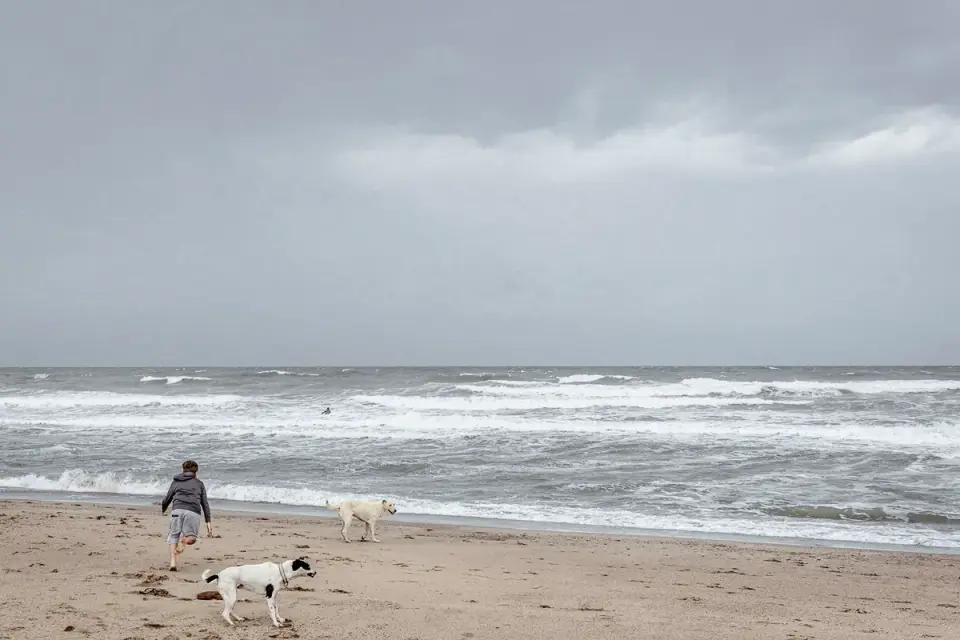 A dog pacing near a doorway during a thunderstorm