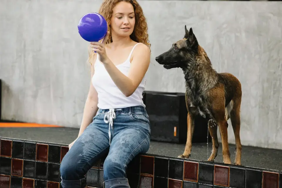 Dog drinking water