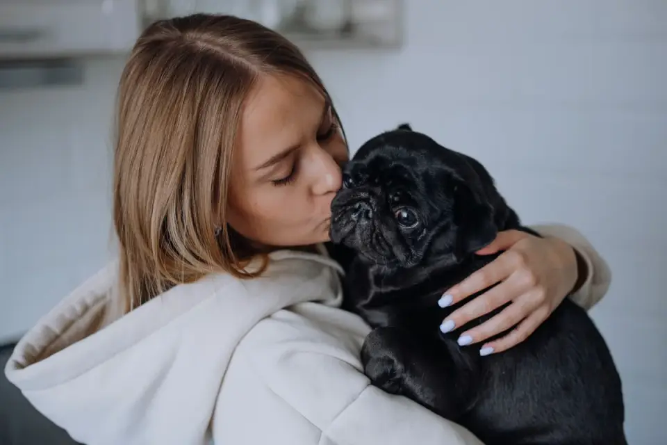 Dog owner preparing dog food kitchen