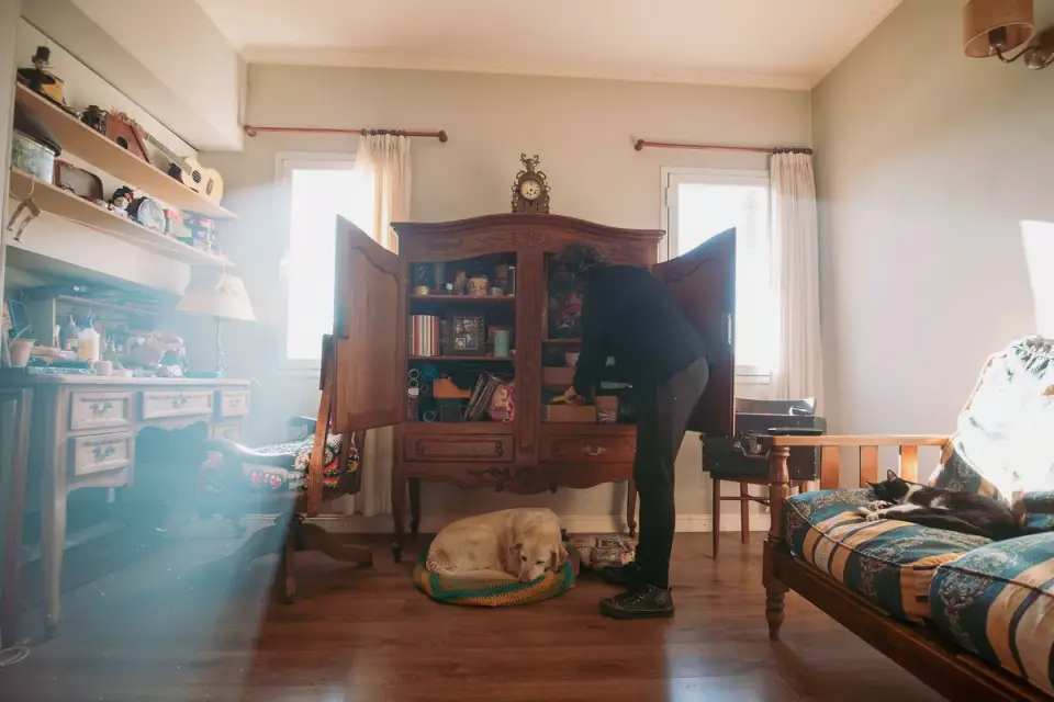 Dog resting beside an owner