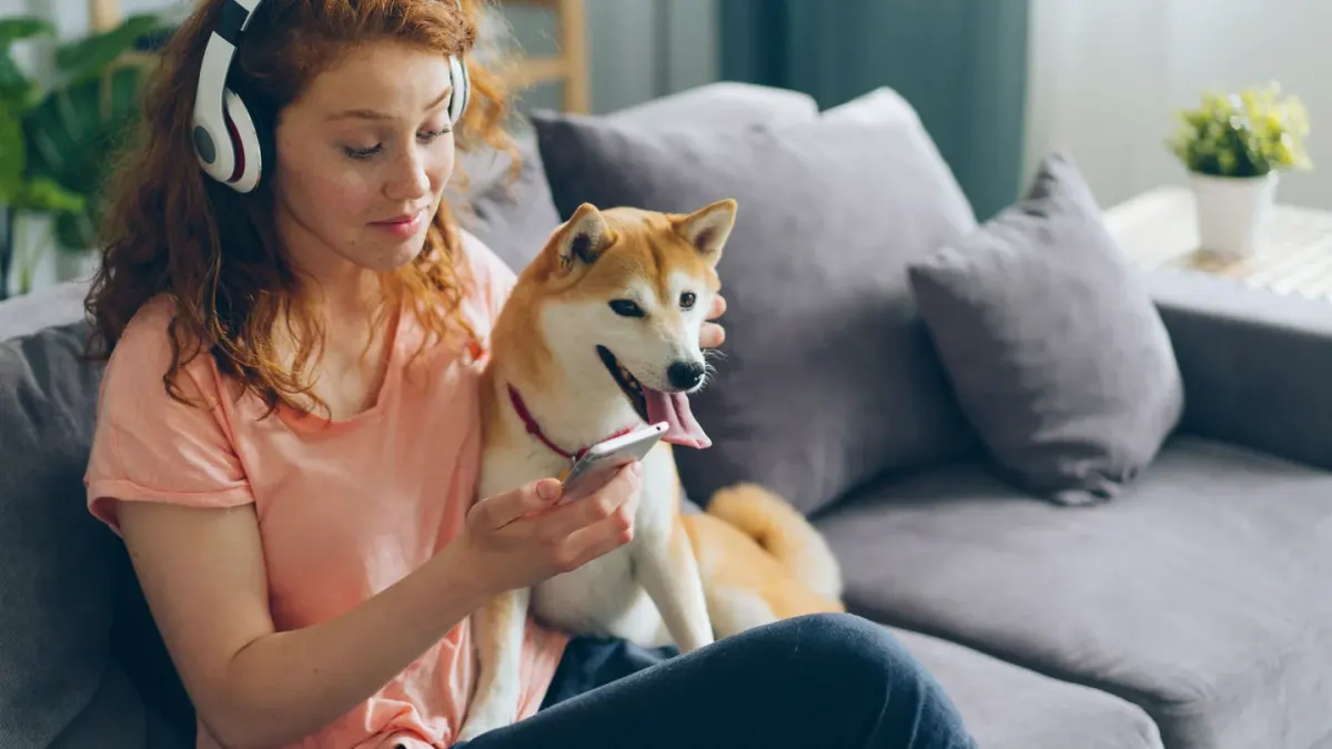 Dog resting beside an owner