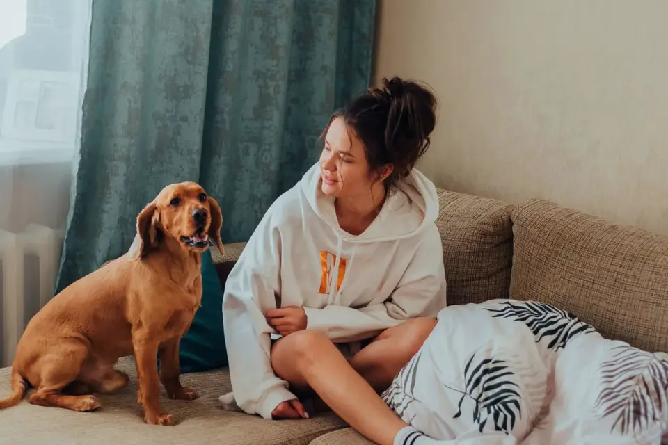Dog resting beside an owner