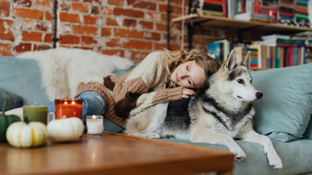 Dog resting beside an owner