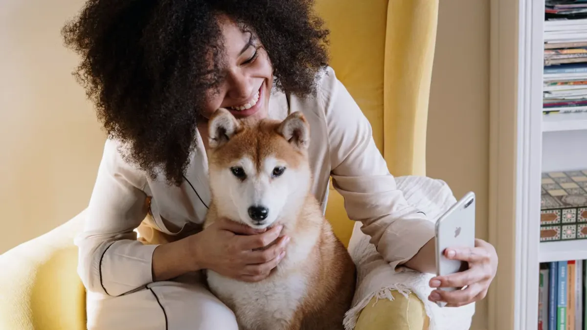 Dog resting beside an owner
