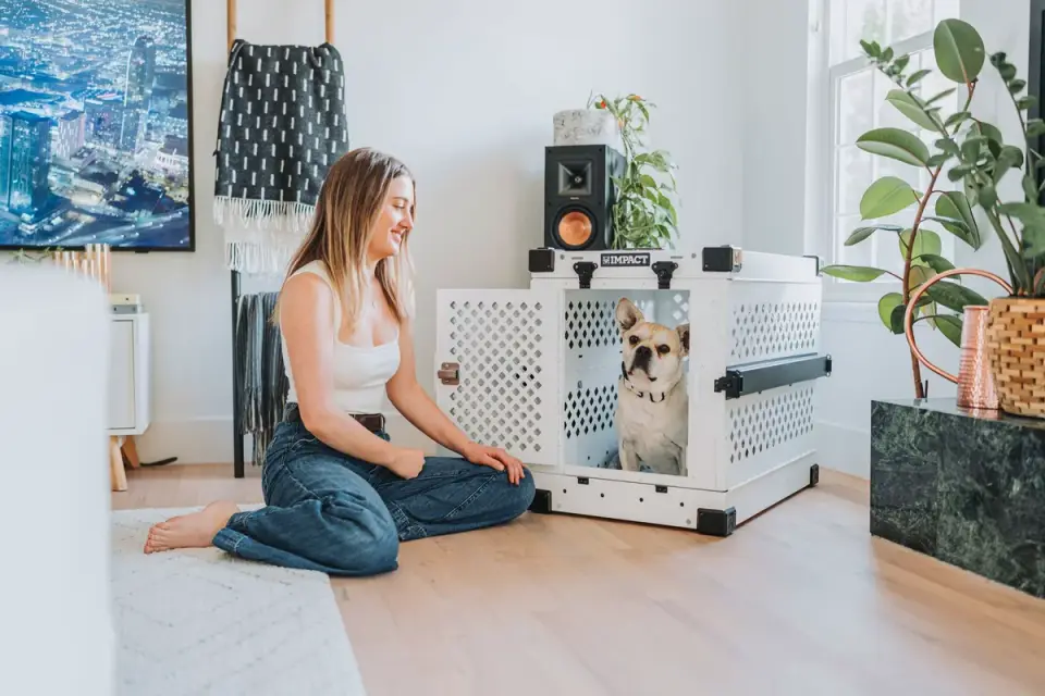 Dog resting beside an owner