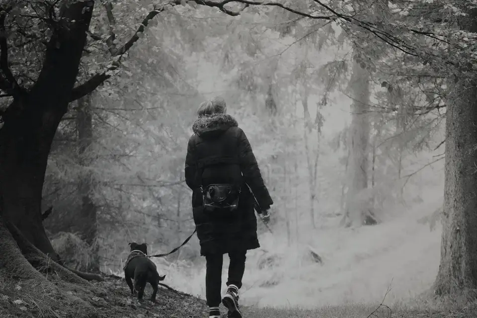Dog walking with an owner