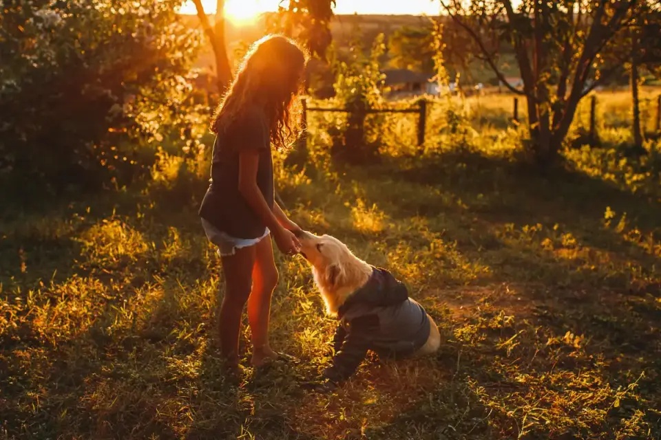 Dog with an owner at home