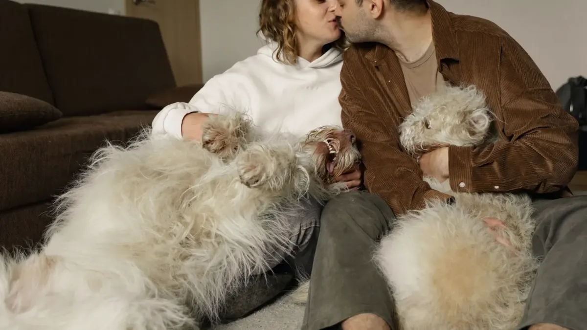 Dog with an owner at home