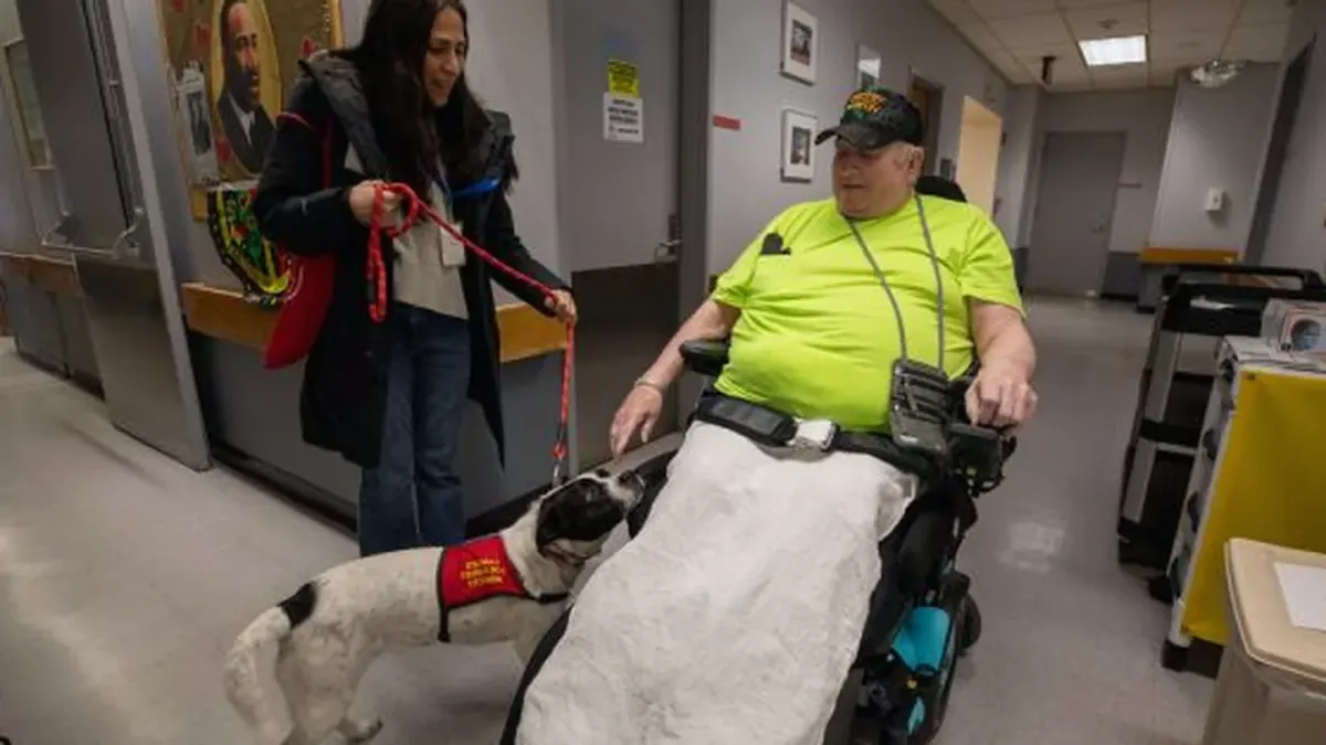Dog with an owner at home