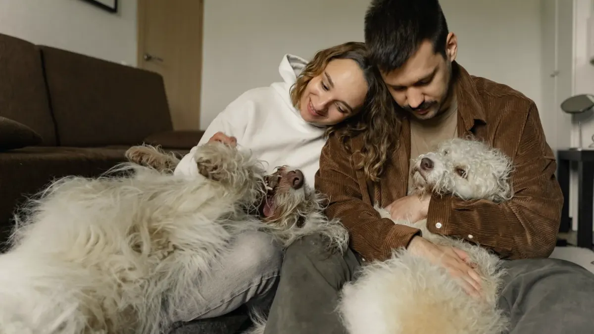 Dog with an owner at home
