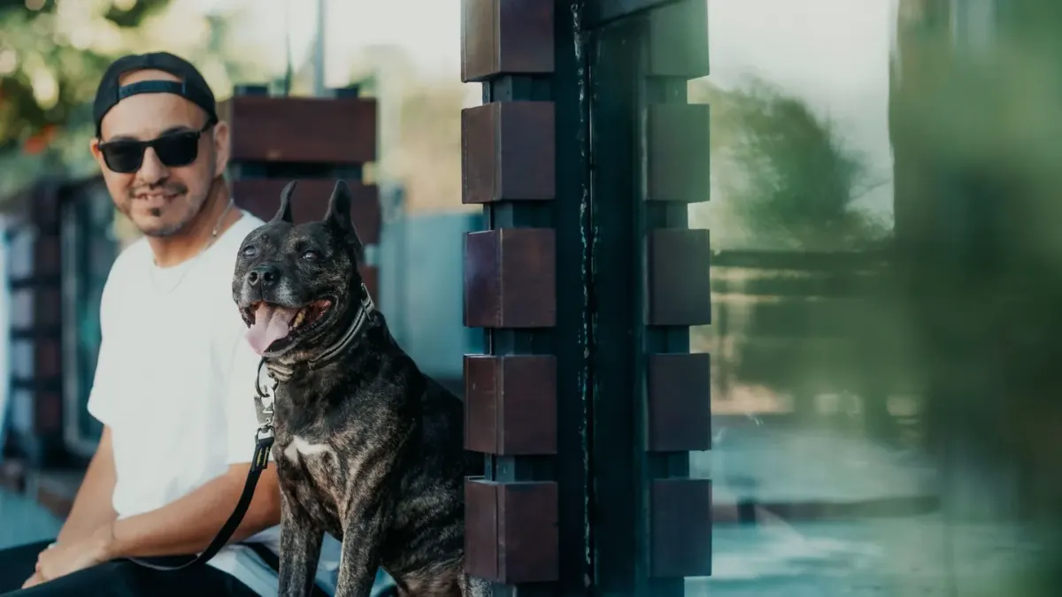 Dog with an owner at home