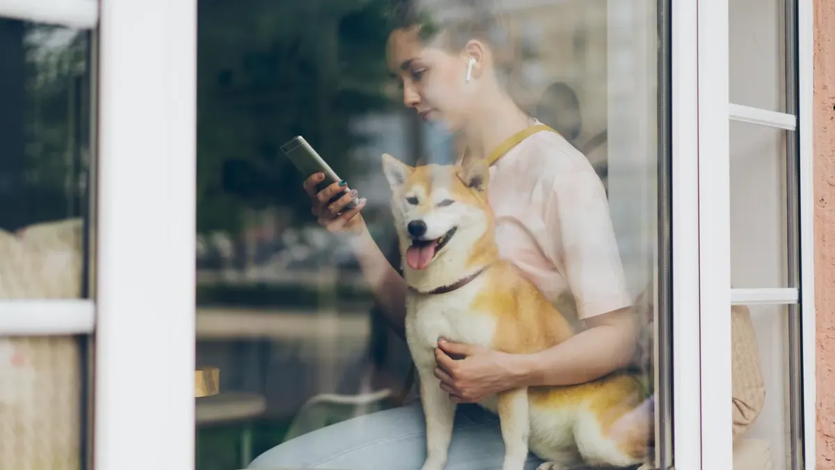 Dog with an owner at home