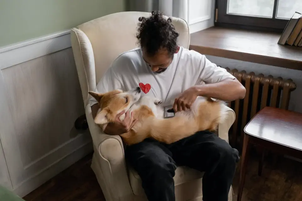 Dog with an owner at home