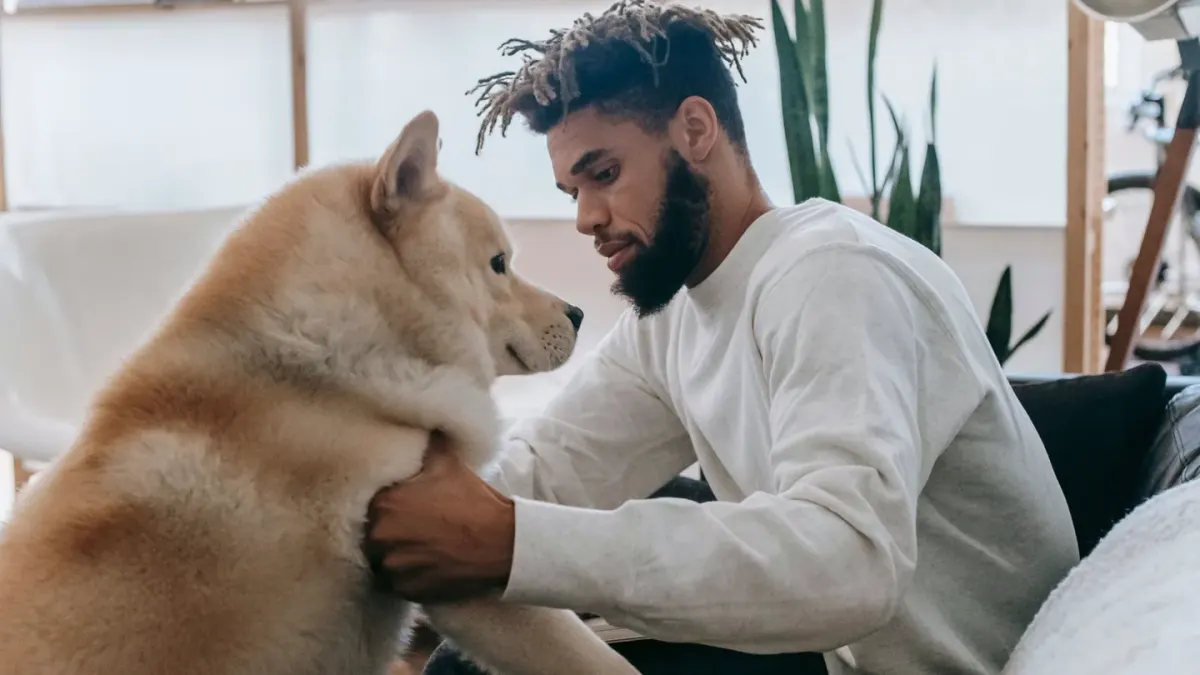Dog with an owner at home