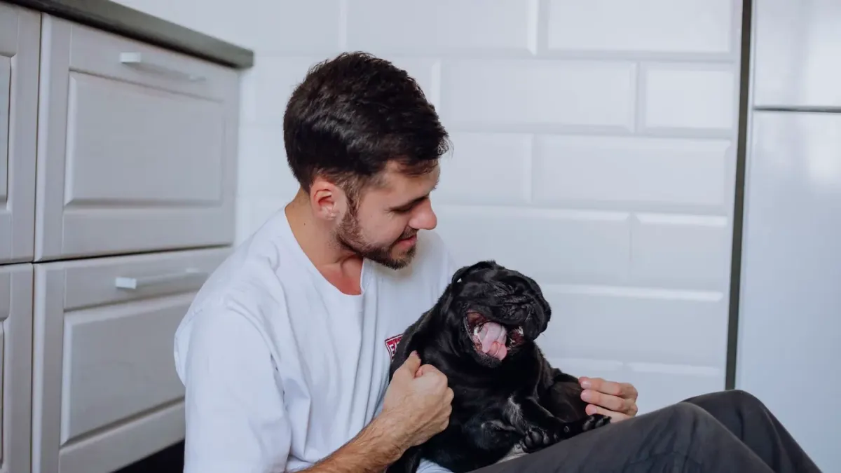 Dog with an owner at home