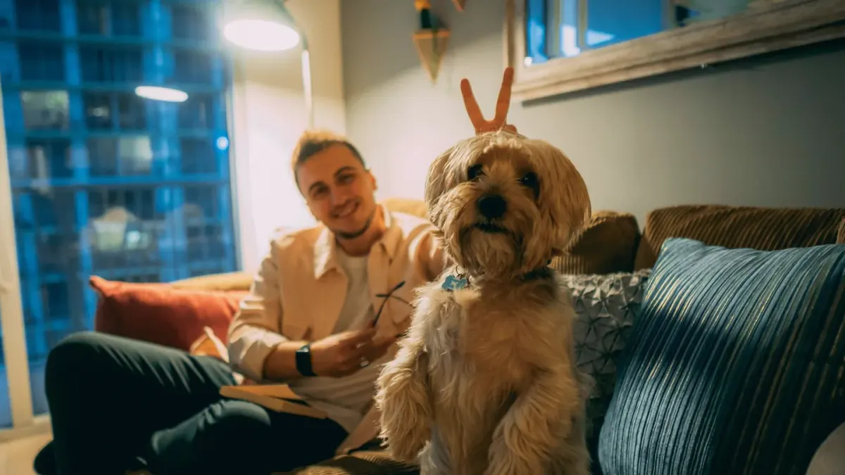 Dog with an owner at home
