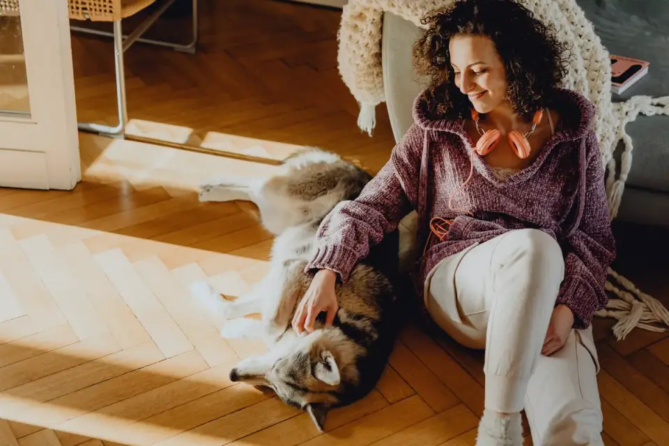 Dog with an owner at home