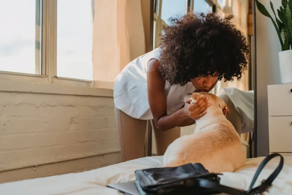 Dog with an owner at home