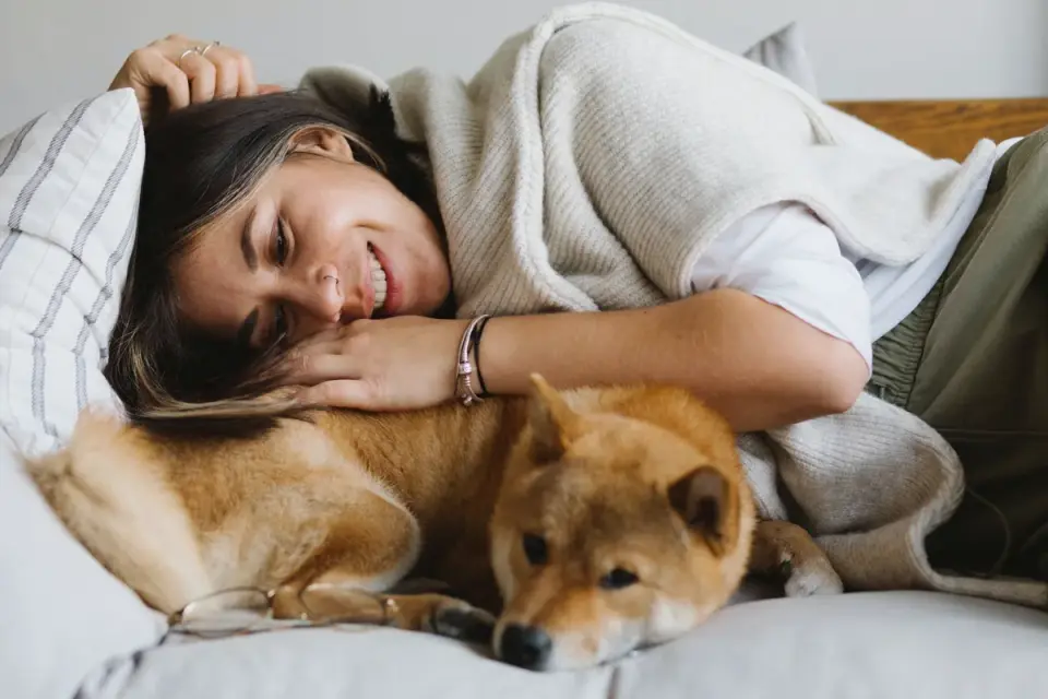 Dog with an owner at home