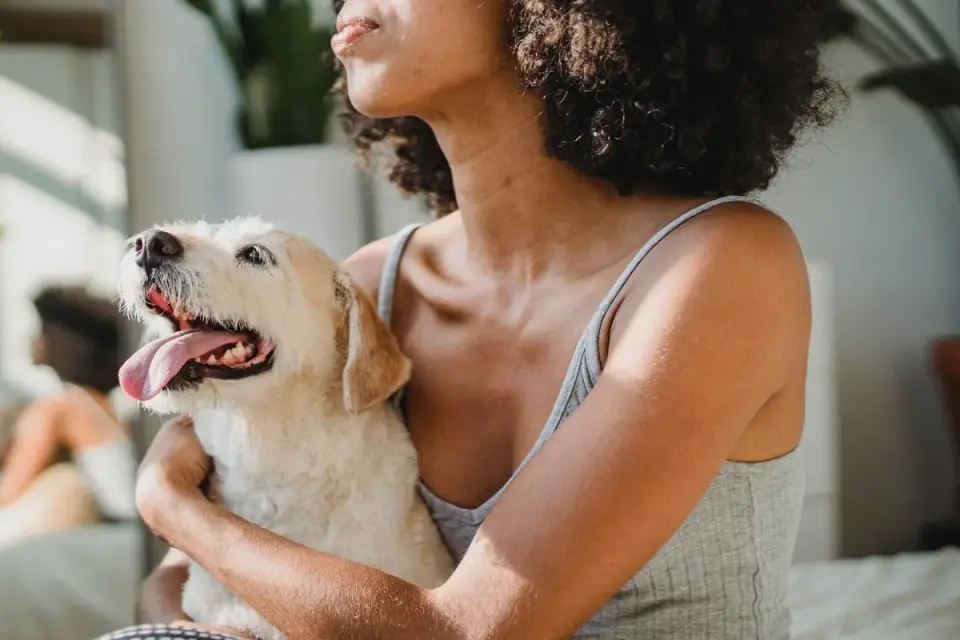 Dog with an owner at home