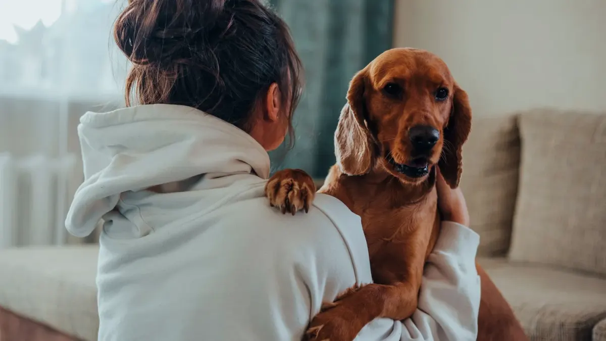 Dog with an owner at home