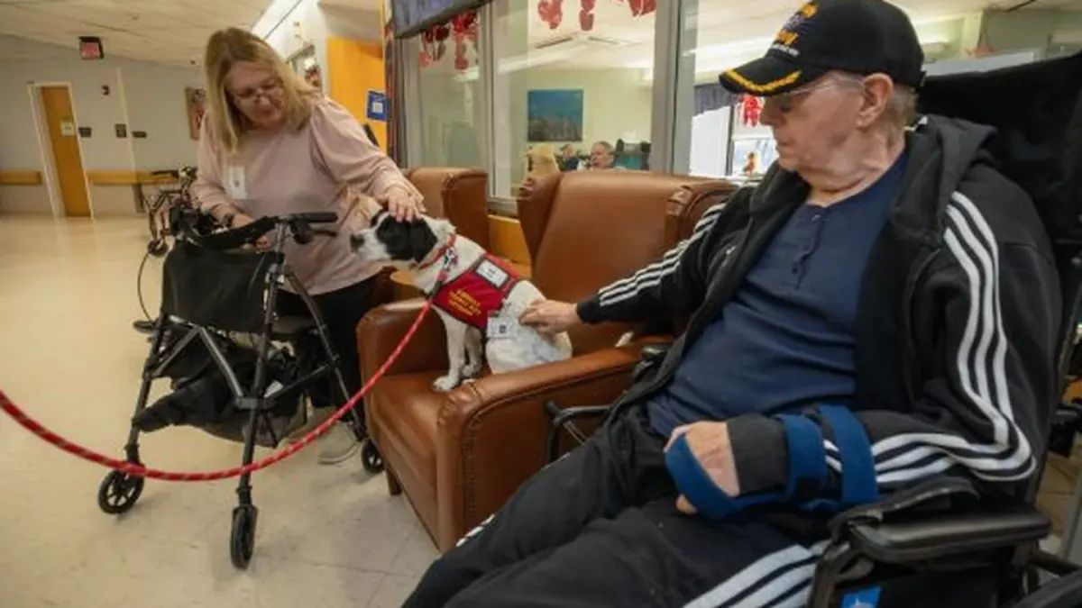 Dog with an owner at home