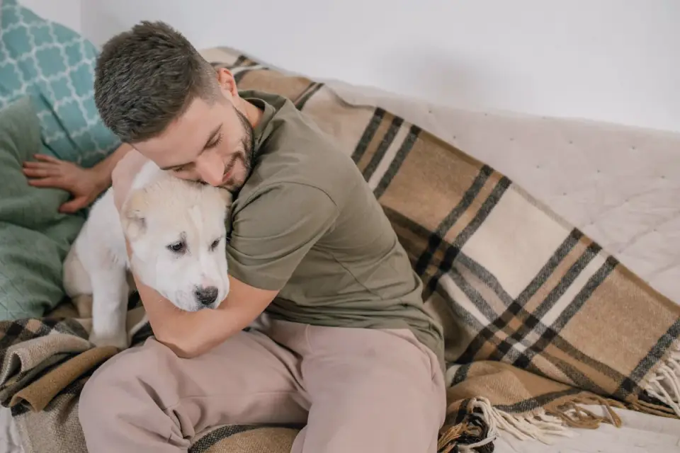 Dog with an owner at home