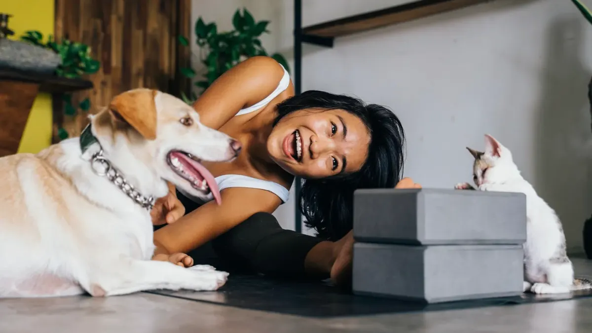 Dog with an owner at home