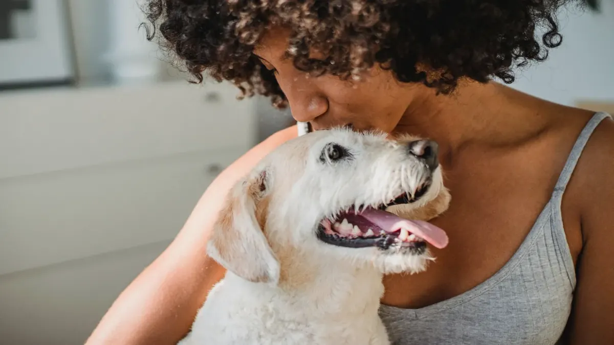Dog with an owner at home