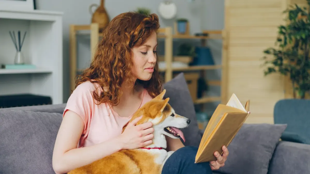 Dog with an owner at home