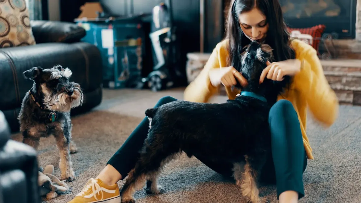 Dog with an owner at home