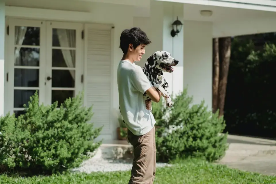 Dog with an owner at home