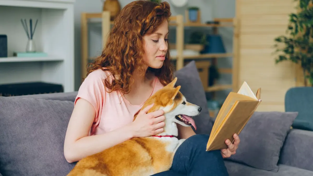 Dog with an owner at home