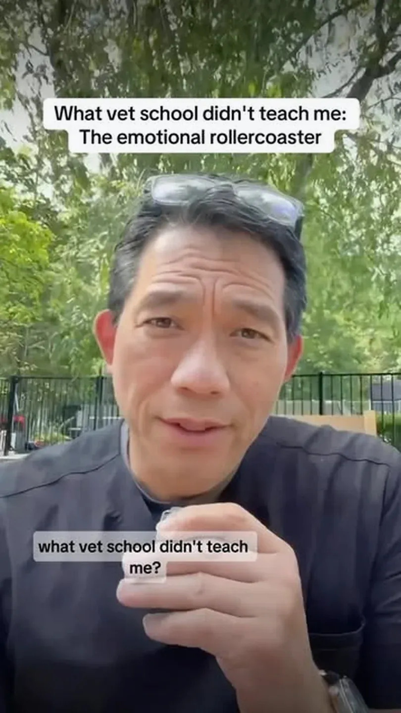 Source video
