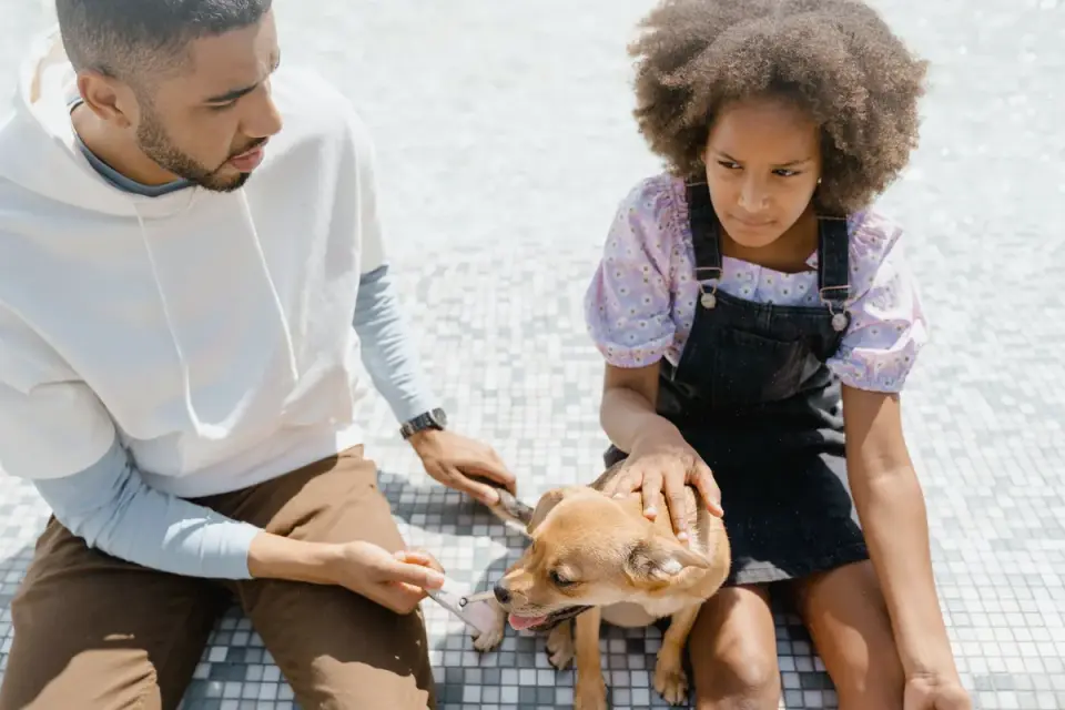 Veterinarian pointing to a supplement label while a dog owner listens